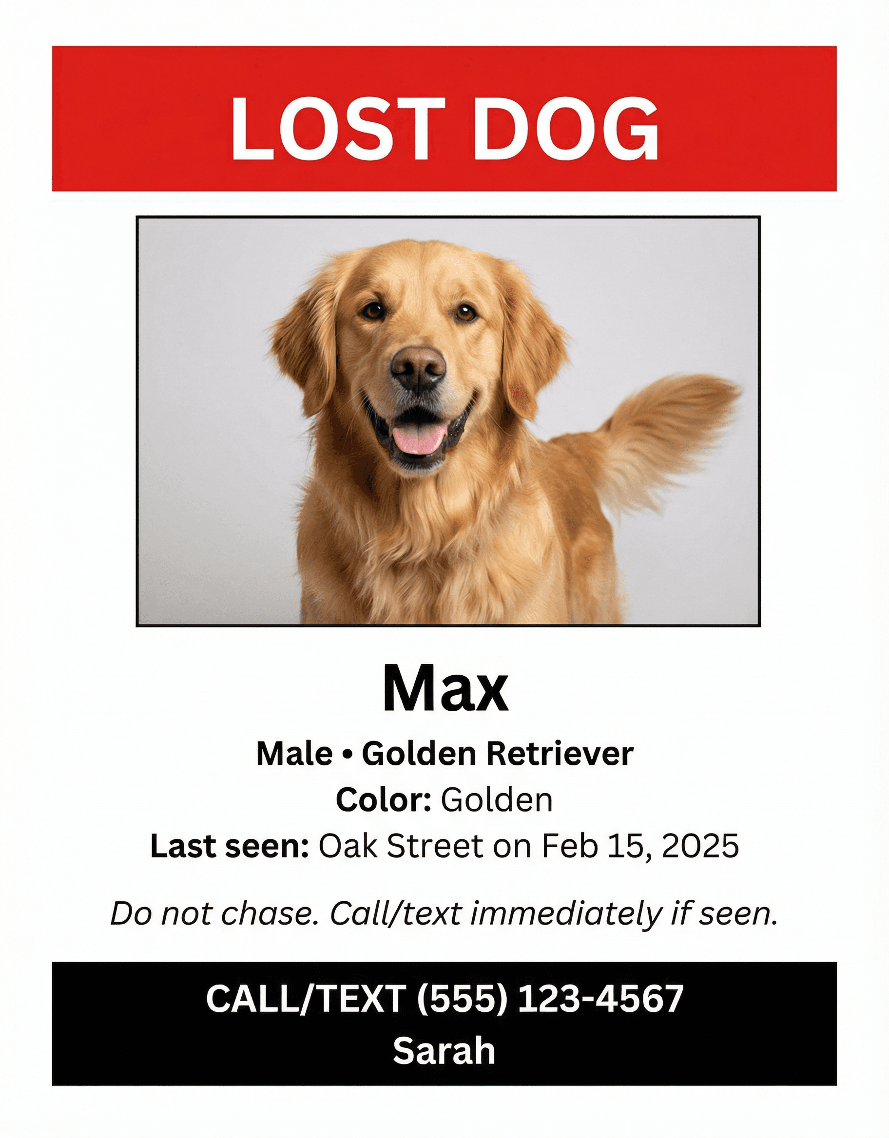 Example lost pet flyer with LOST DOG header, dog photo, and contact details